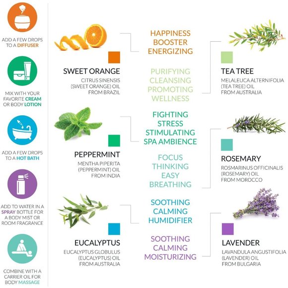 New Essential Oils and Diffuser Gift Set - Picture 3 of 8